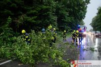 _2024-07-06 Baum über Straße B141 Pramwald-0019